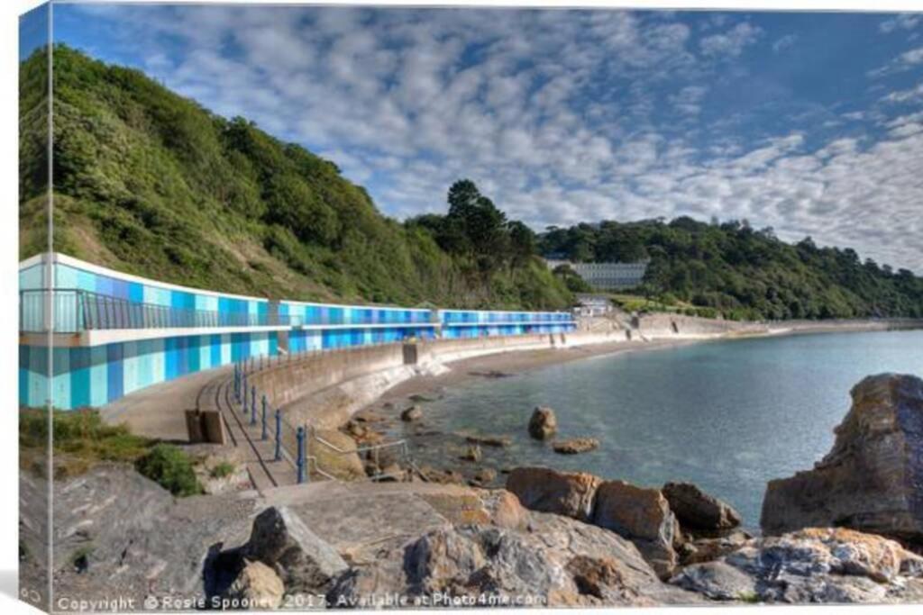 **Sunny And Bright, Thatchers Rock One Bed Beach Front Apartment*** Torquay Eksteriør bilde